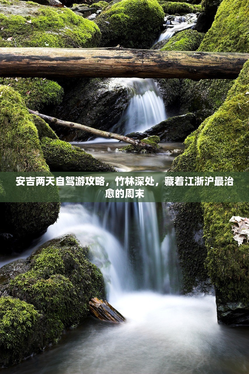 安吉两天自驾游攻略,竹林深处,藏着江浙沪最治愈的周末 安吉两天自驾游攻略,竹林深处,藏着江浙沪最治愈的周末
