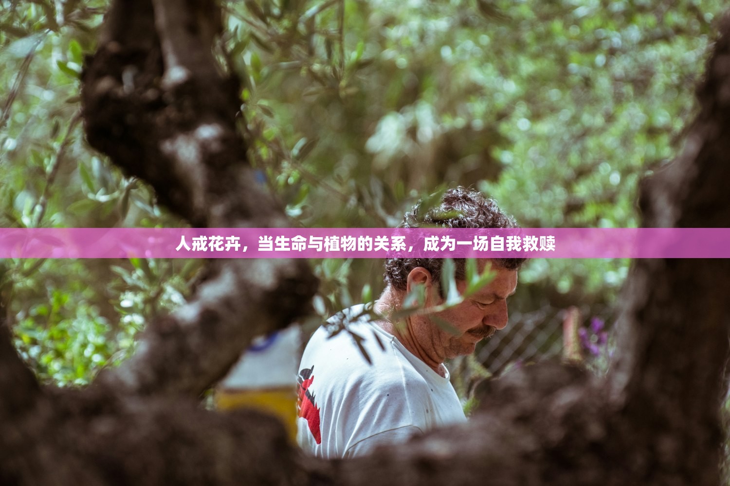 人戒花卉,当生命与植物的关系,成为一场自我救赎 人戒花卉,当生命与植物的关系,成为一场自我救赎