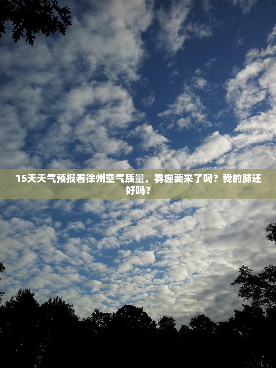 15天天气预报看徐州空气质量,雾霾要来了吗?我的肺还好吗? 15天天气预报看徐州空气质量,雾霾要来了吗?我的肺还好吗?