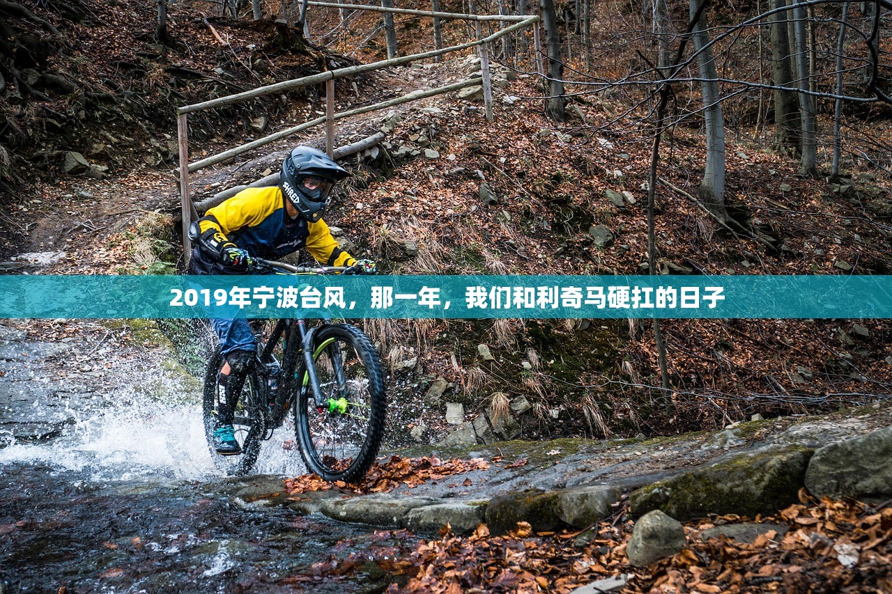2019年宁波台风,那一年,我们和利奇马硬扛的日子 2019年宁波台风,那一年,我们和利奇马硬扛的日子