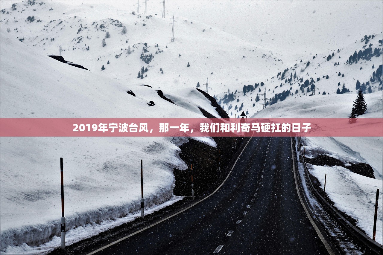 2019年宁波台风,那一年,我们和利奇马硬扛的日子 2019年宁波台风,那一年,我们和利奇马硬扛的日子