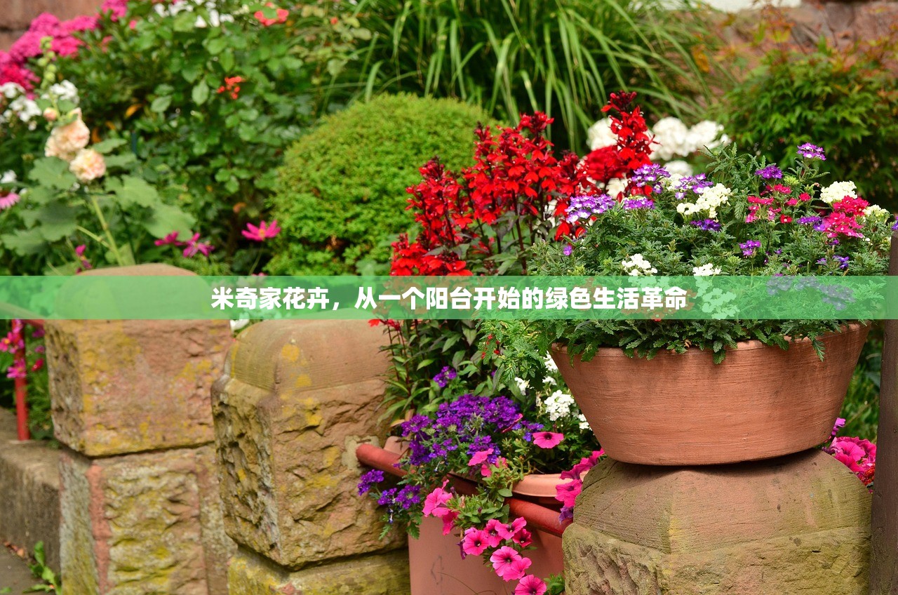 米奇家花卉，从一个阳台开始的绿色生活革命
