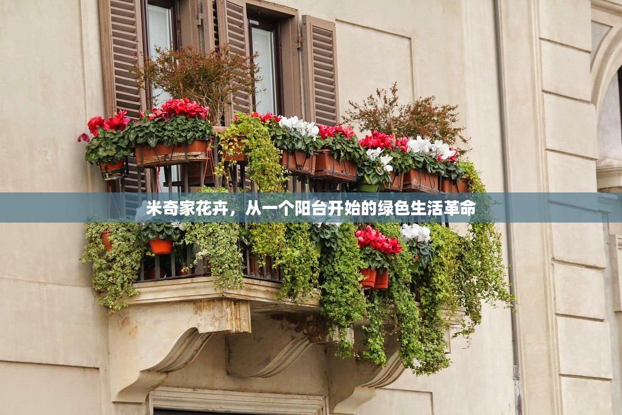 米奇家花卉，从一个阳台开始的绿色生活革命