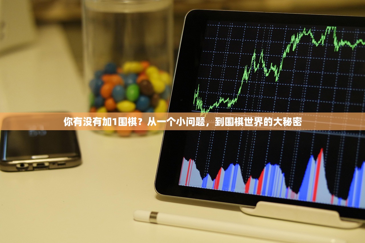 你有没有加1围棋?从一个小问题,到围棋世界的大秘密 你有没有加1围棋?从一个小问题,到围棋世界的大秘密